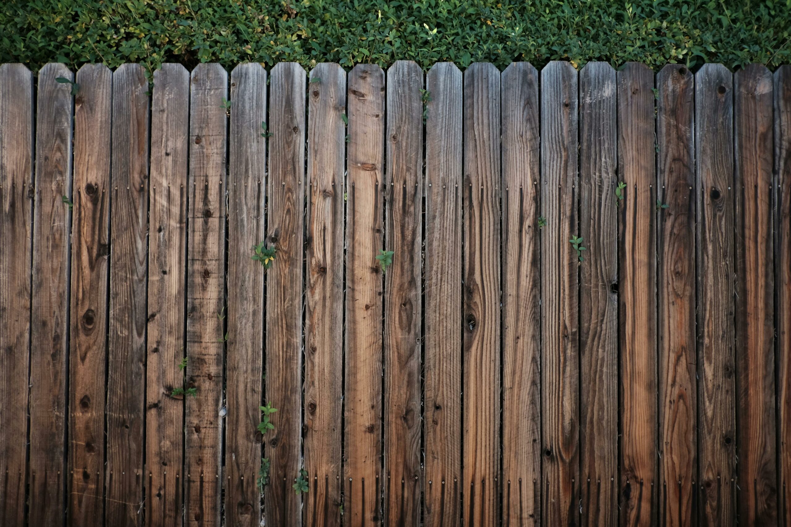 Fence and Gate Repair